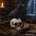 Raven's Vigil