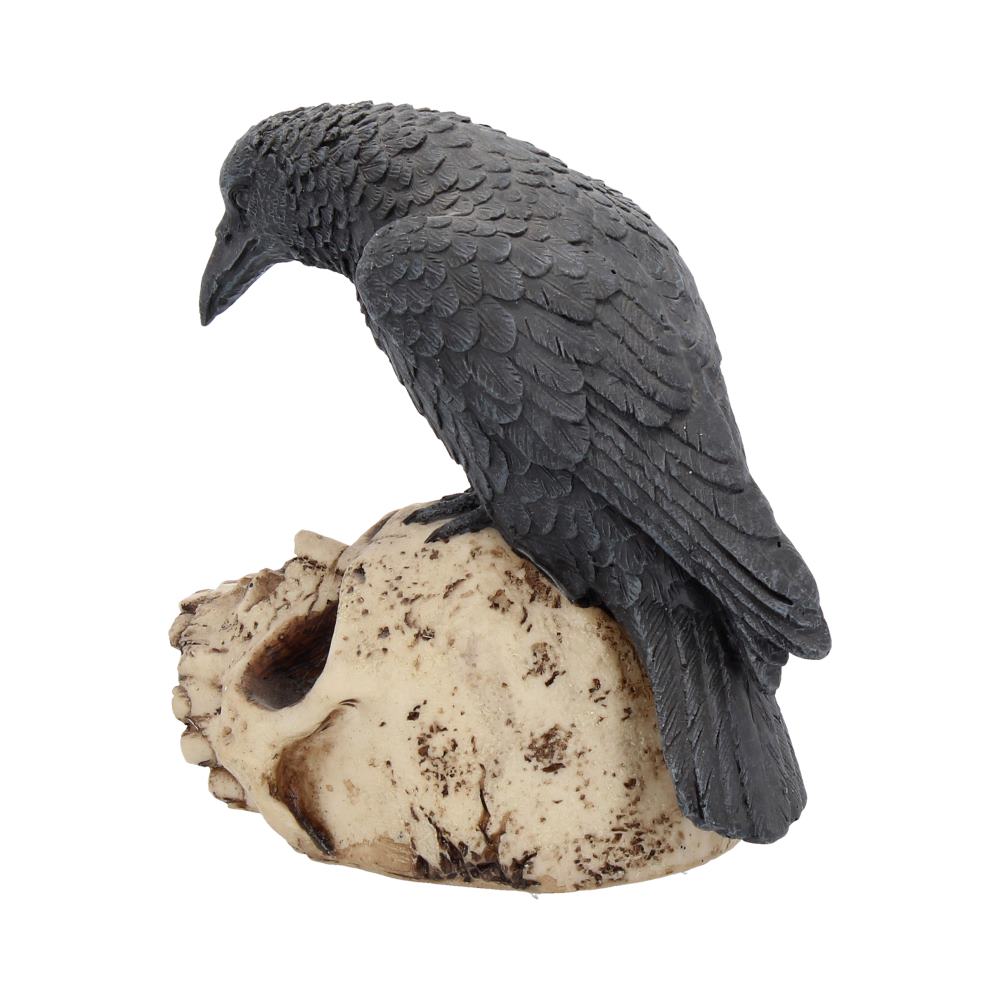 Raven's Remains