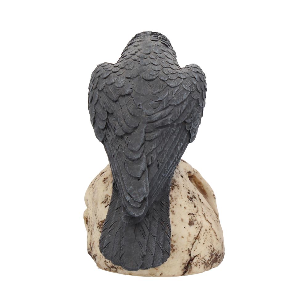 Raven's Remains