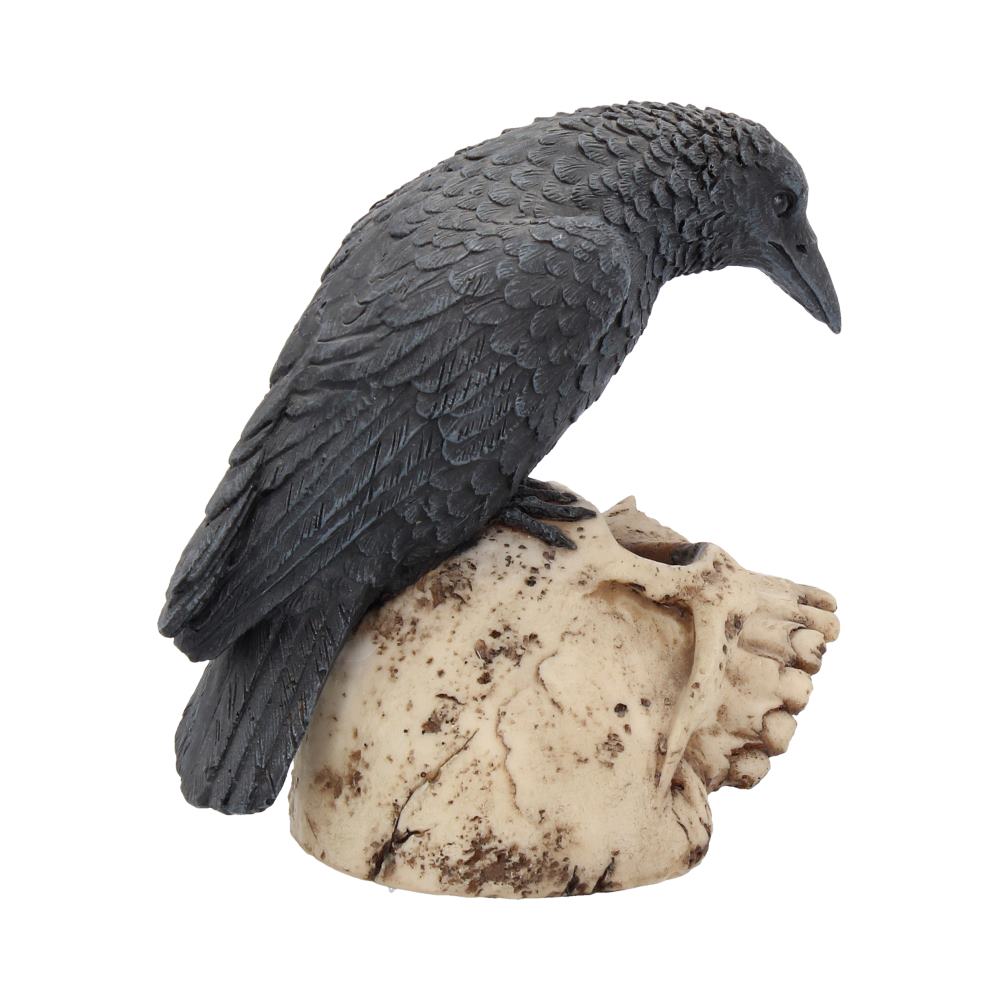 Raven's Remains