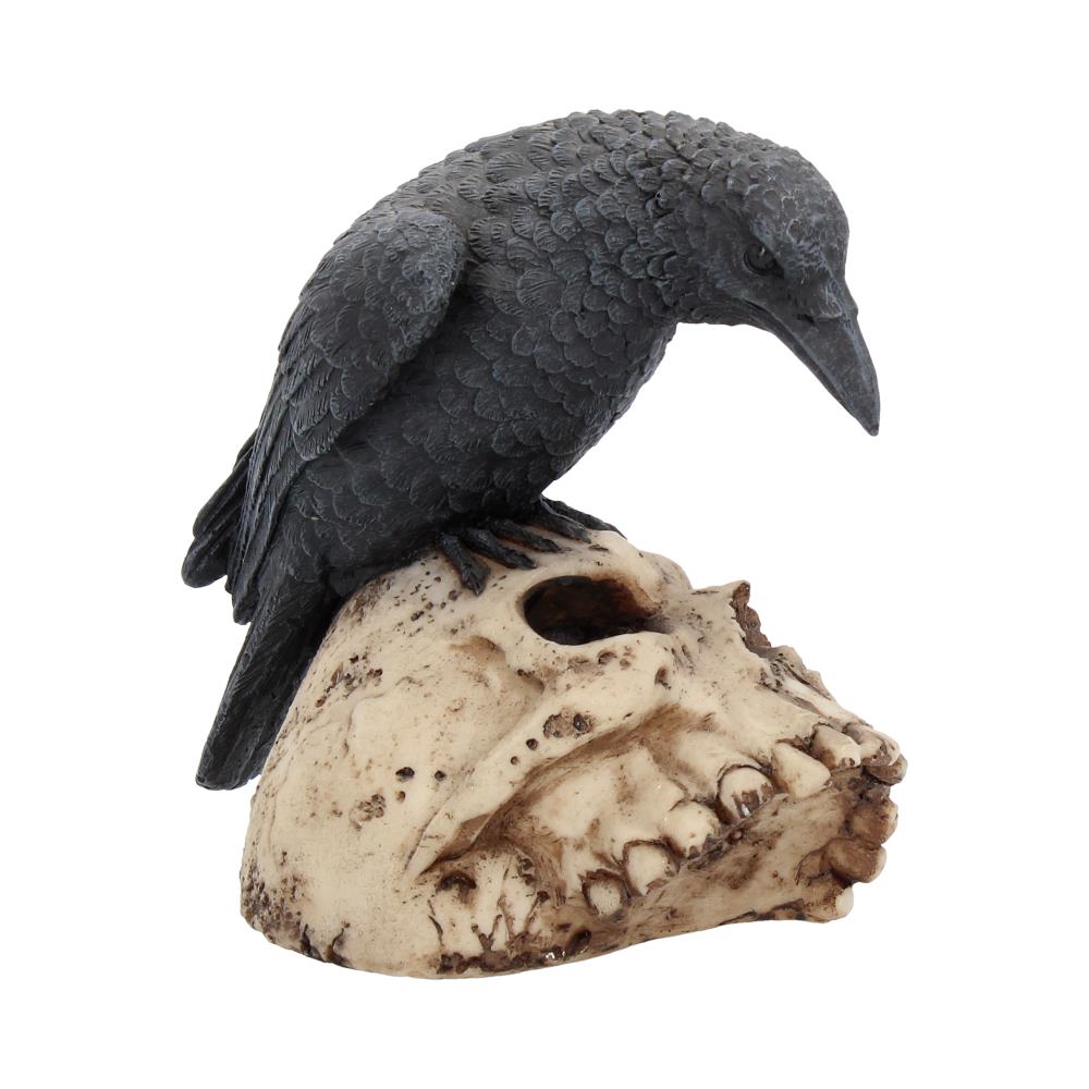 Raven's Remains