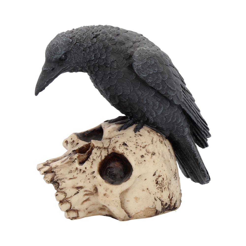 Raven's Remains