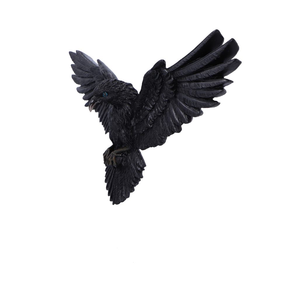 Flight of the Raven