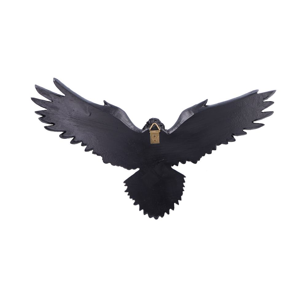 Flight of the Raven