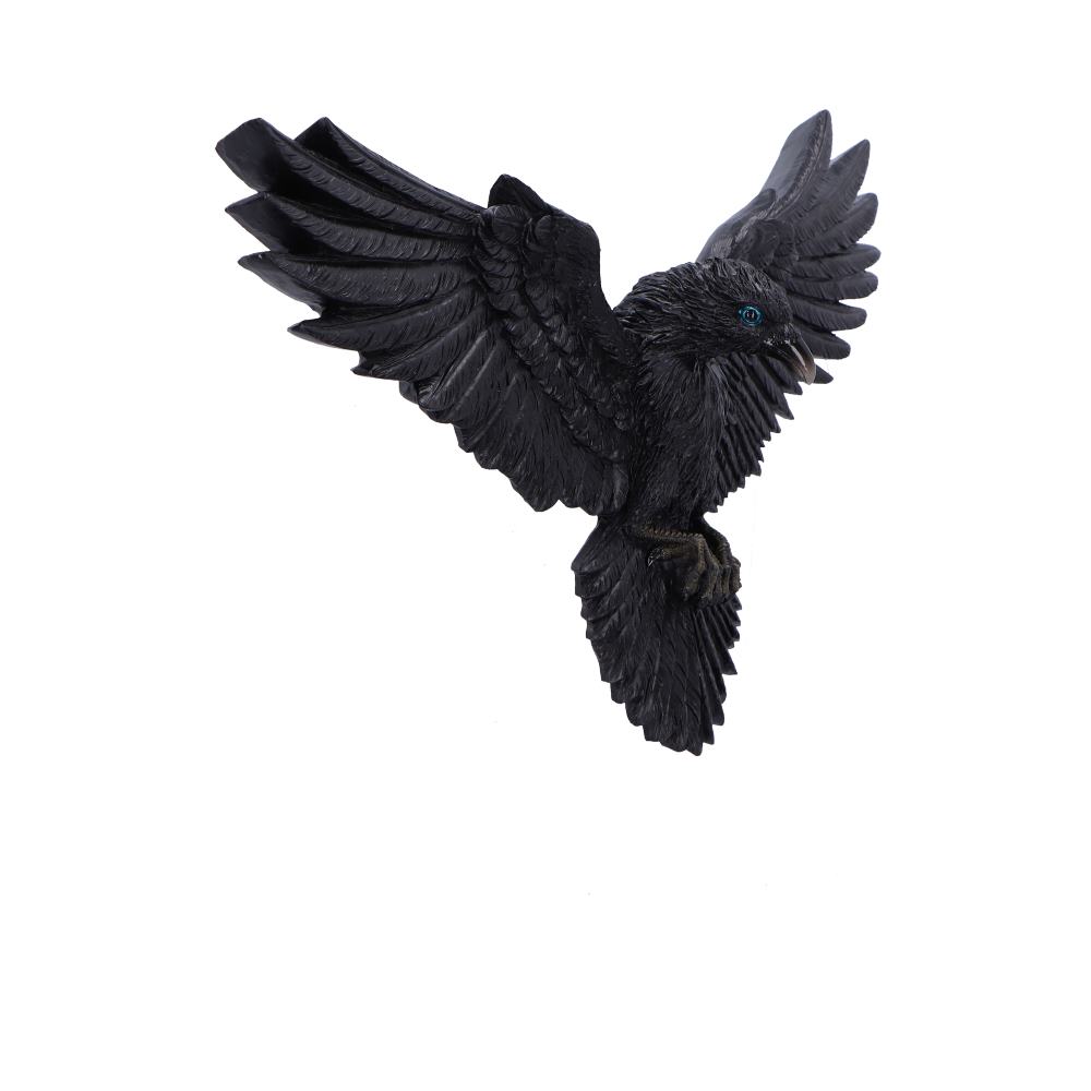 Flight of the Raven