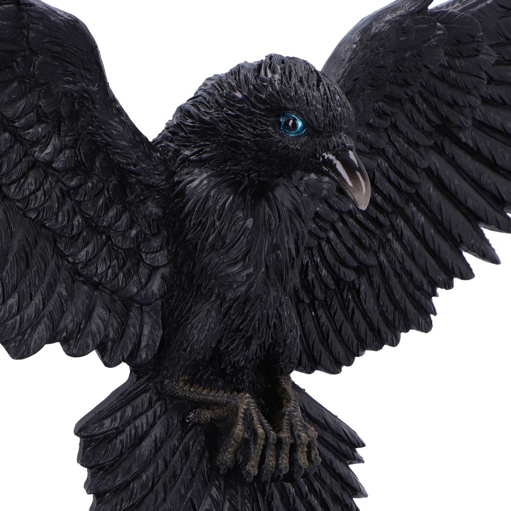 Flight of the Raven