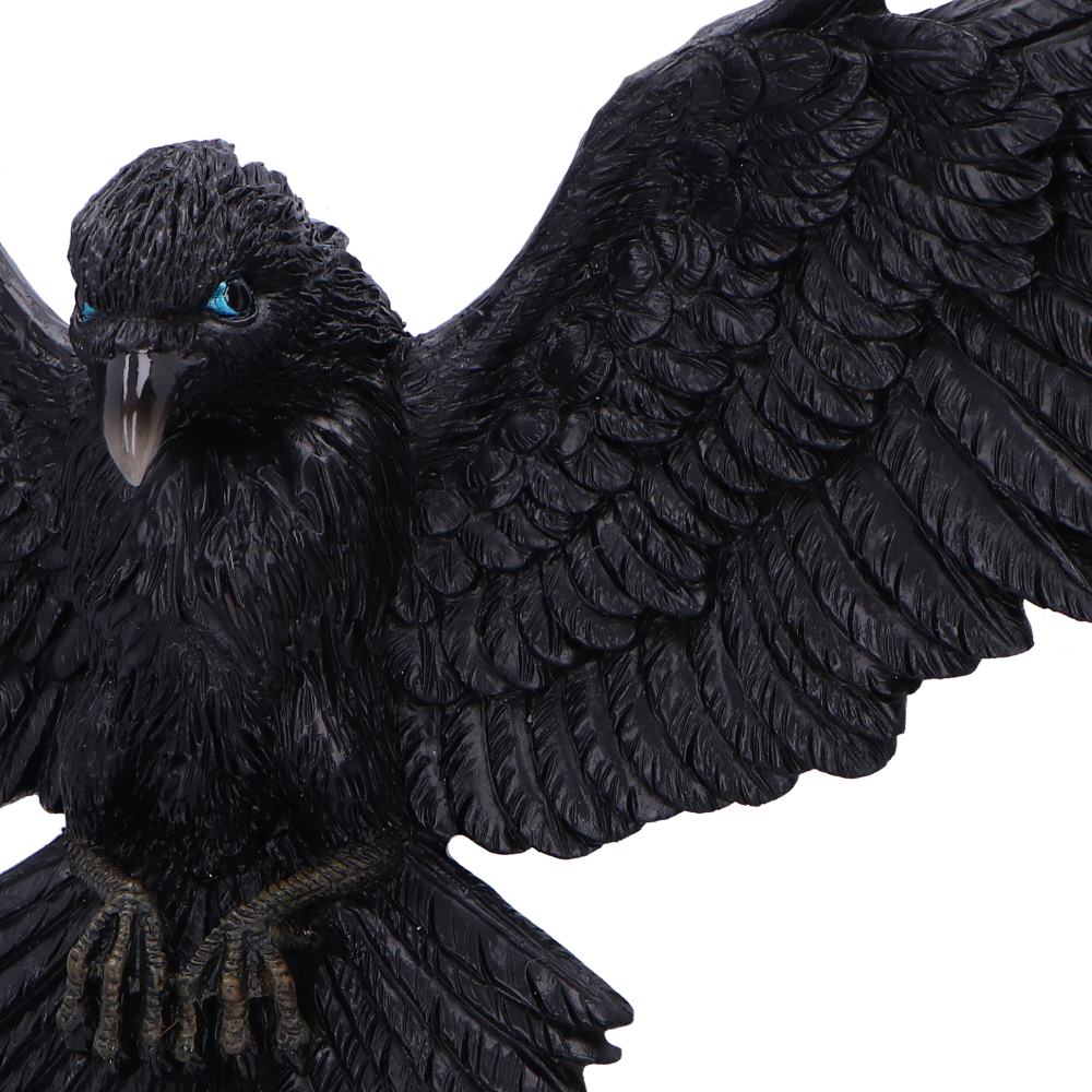 Flight of the Raven