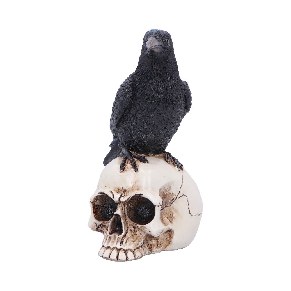 Raven's Vigil