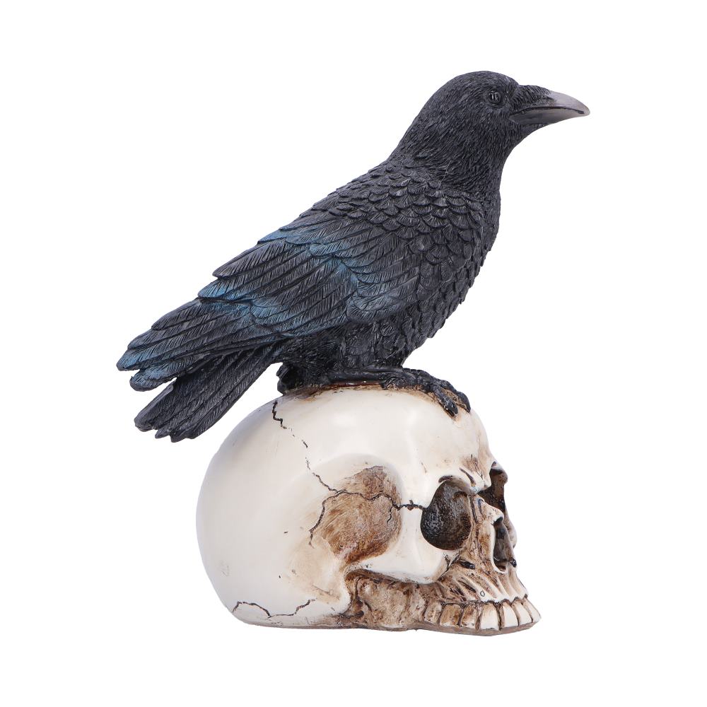Raven's Vigil