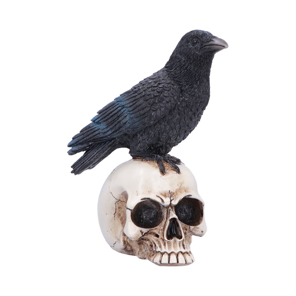 Raven's Vigil